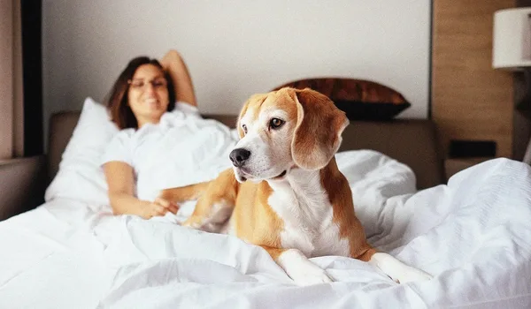 Featured Image of Best Pet-Friendly Apartments on Kanakapura Road 2026